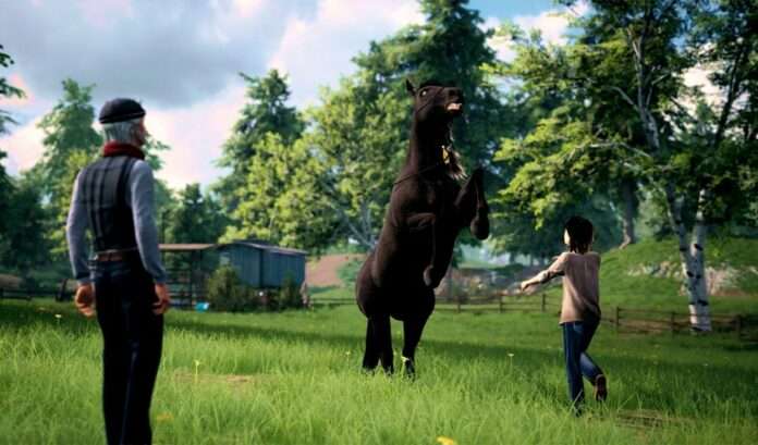 Windstorm Ari’s Arrival