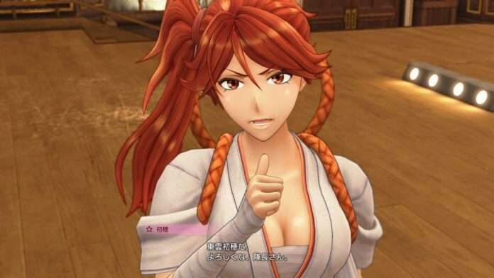Project Sakura Wars 09