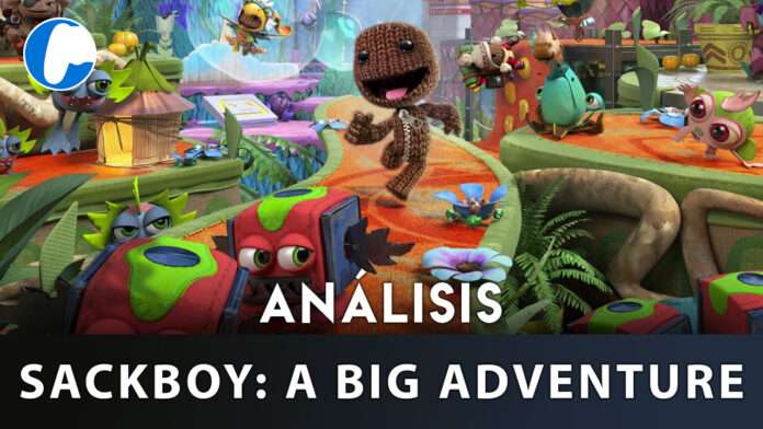 ANALISIS SACKBOY (1)