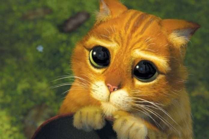 El Gato Con Botas El Ultimo Deseo El Gato Con Botas El Ultimo Deseo