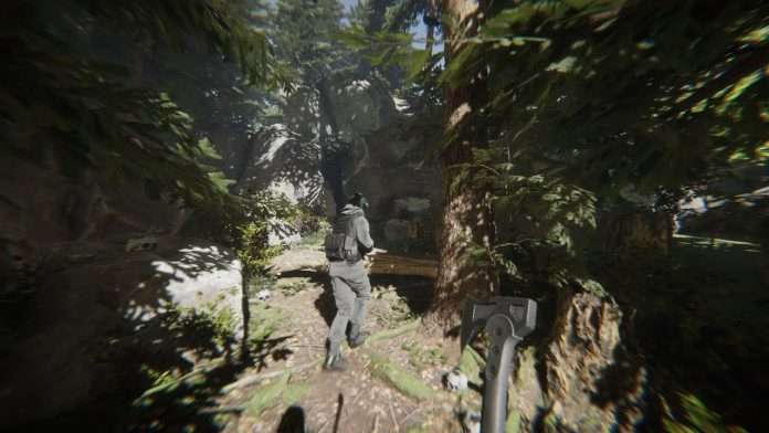 Sons of the Forest retraso Sons of the Forest retraso