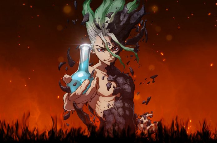 Dr. Stone