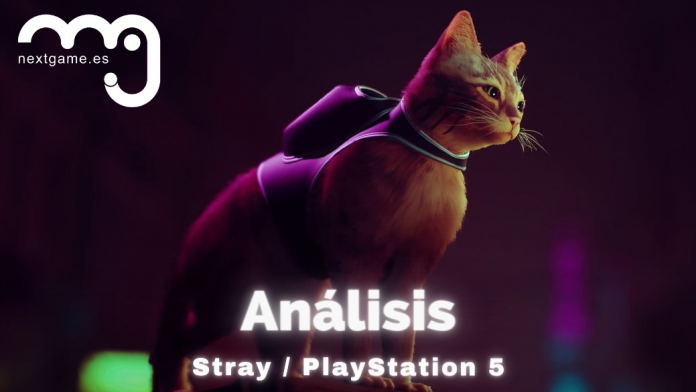 Análisis Stray