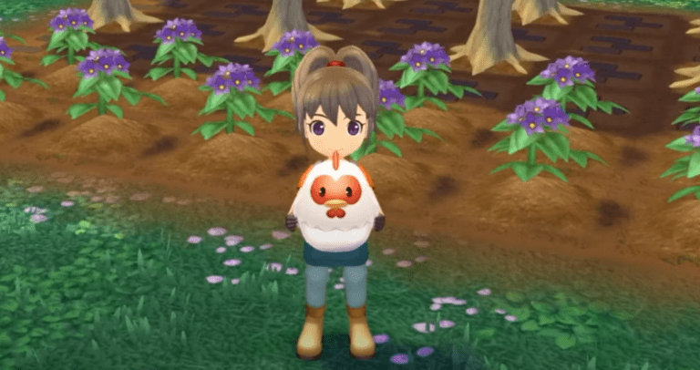 Story of Seasons: A Wonderful Life