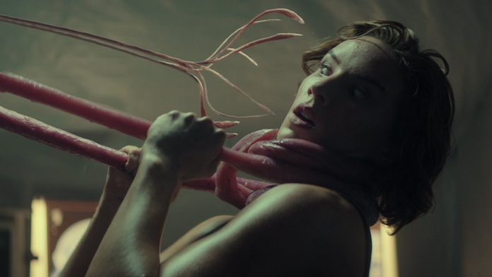 The-Lair Fancine 2022 The Lair