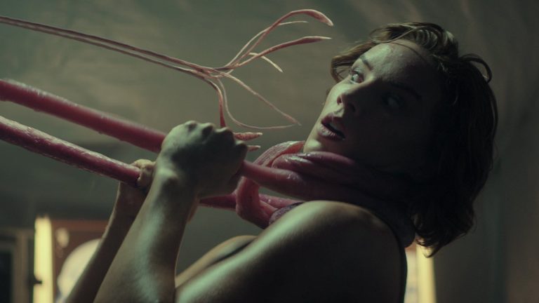 Fancine 2022 The Lair