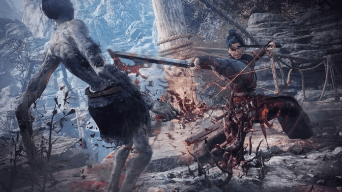 Wo Long Fallen Dynasty Complete Fecha