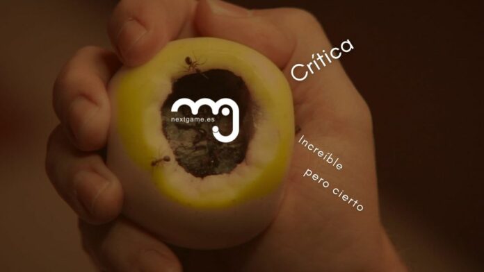 Increíble pero cierto Increible pero cierto Critica