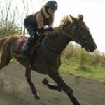 Estrenos Cine Enero 2023