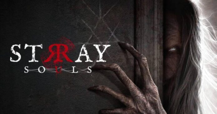 Trailer Stray Souls Trailer Stray Souls