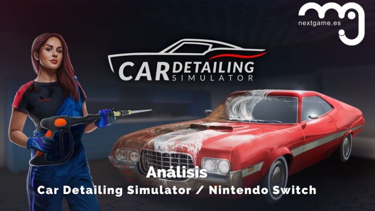 Análisis Car Detailing Simulator