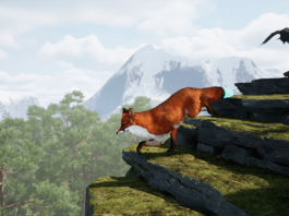 Spirit of the North 2