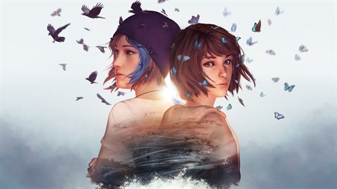 número de jugadores de Life is strange