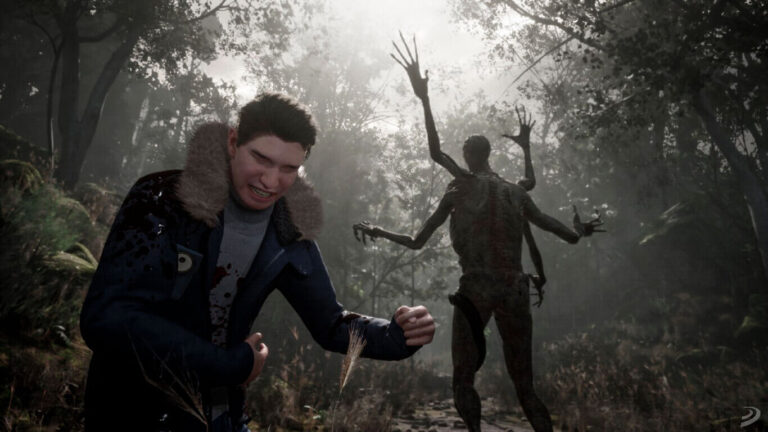 stray souls jukai studio