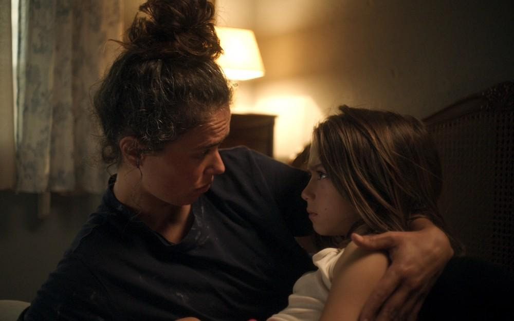 20000 especies de abejas