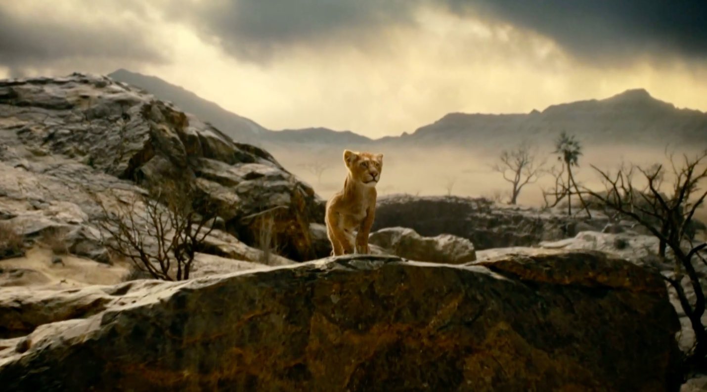 Mufasa Live Action Imagen