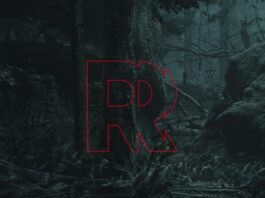 Codename Kestrel cancelado