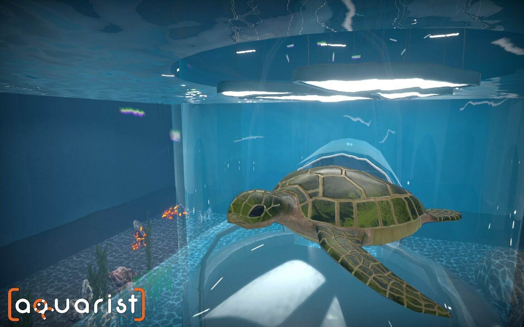 analisis aquarist playstation
