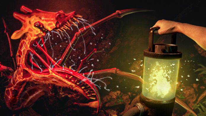 Zoochosis fecha Zoochosis fecha