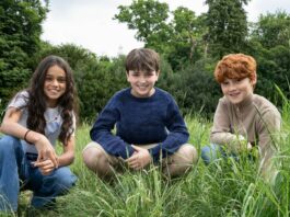 Harry Potter Serie Reparto