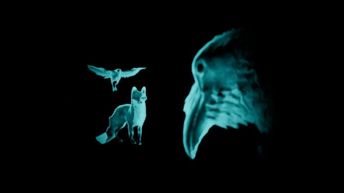 Spirit Of The North 2 Gameplay