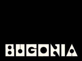 Bugonia - Emma Stone - Yorgos Lanthimos