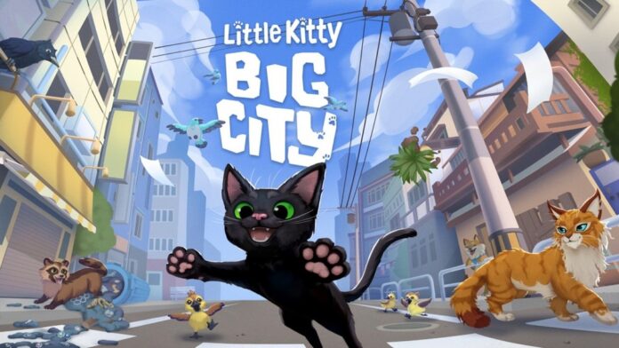 Little Kitty Big City Little Kitty Big City