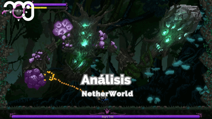 NetherWorld Análisis NetherWorld Análisis