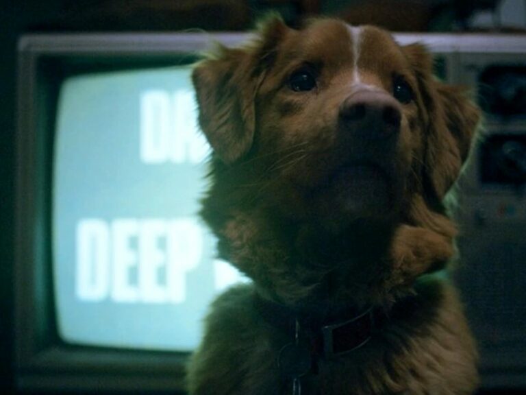 La Fiesta del Cine vuelve en noviembre de 2025 cargada de novedades