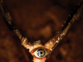 Return To Silent Hill Fecha