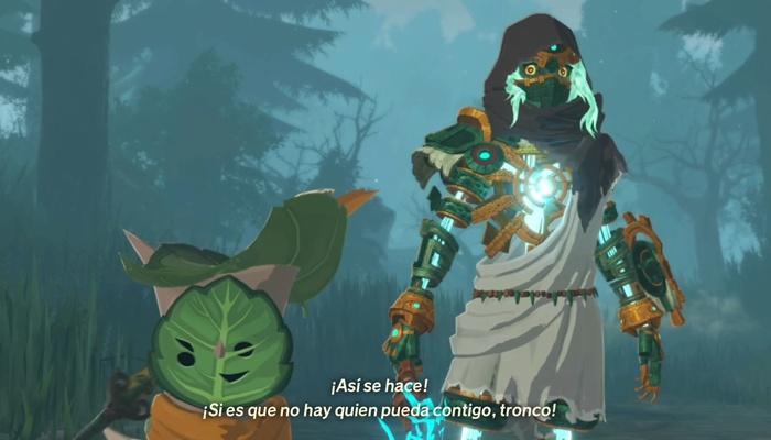 Análisis Hyrule Warriors La era del destierro