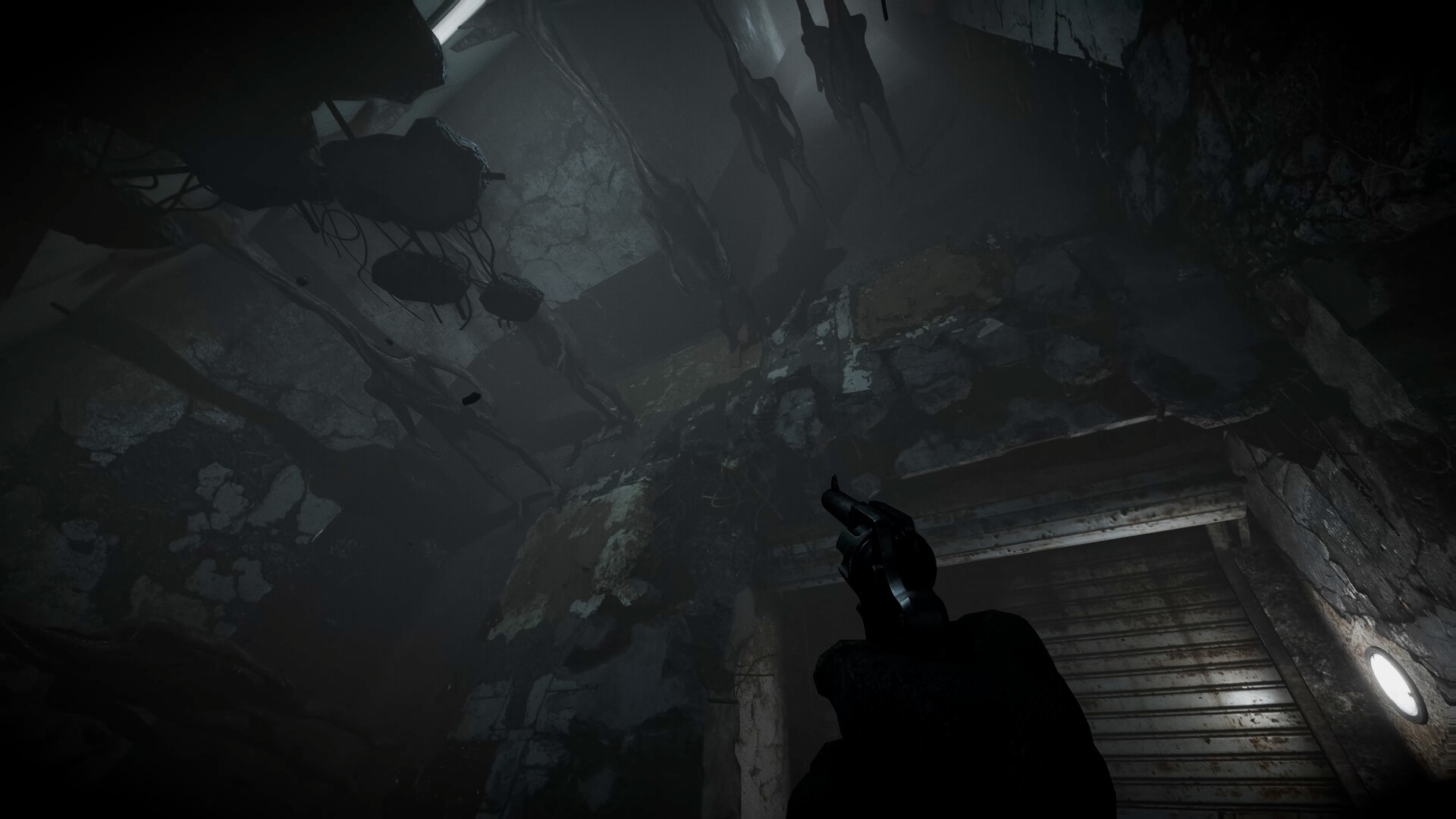 total chaos análisis